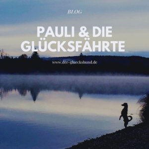 Lektoratsservice Claudia Weingartner: Blog „Der Glückshund“