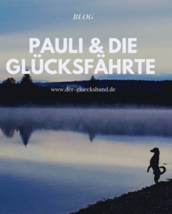 Lektoratsservice Claudia Weingartner: Blog „Der Glückshund“